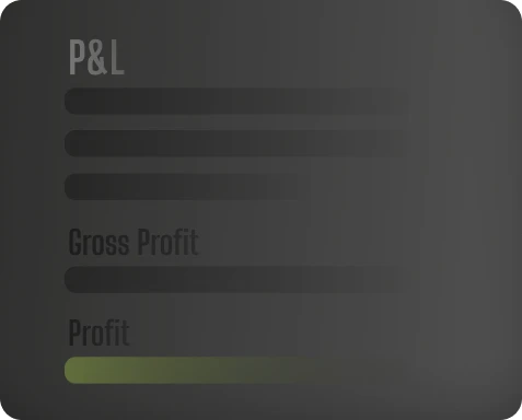 P&L Icon